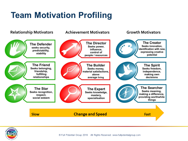Team motivation profiling